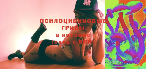 мдпв Армянск