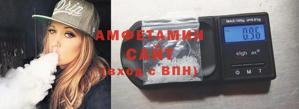 шишки Аркадак
