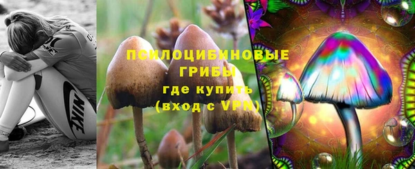 шишки Аркадак