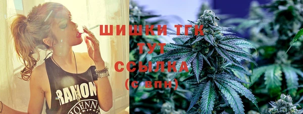 шишки Аркадак
